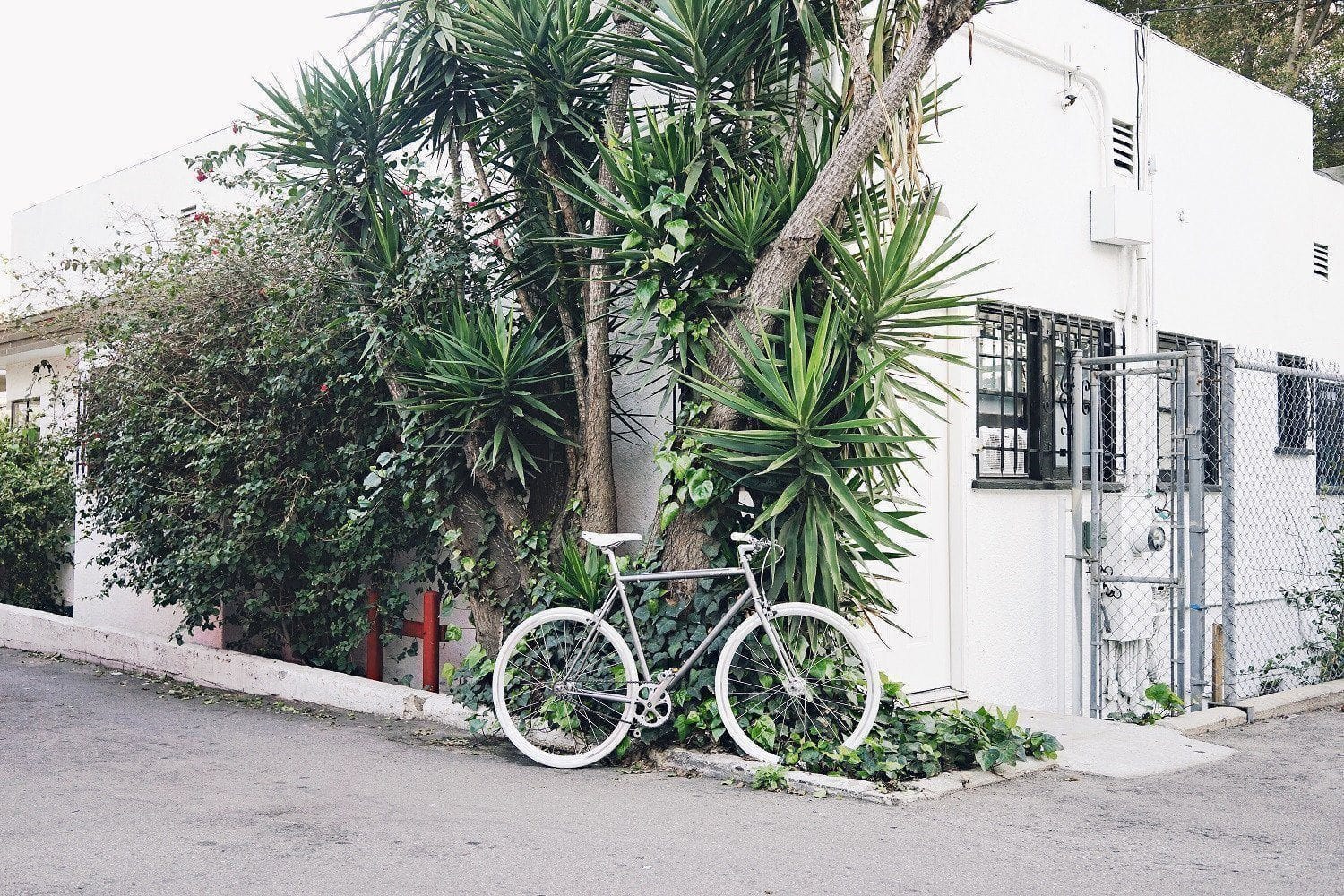 Wythe Single-Speed Bicycle in Los Angeles